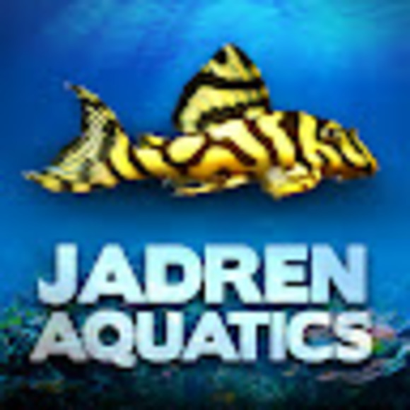 jadrensaquatics